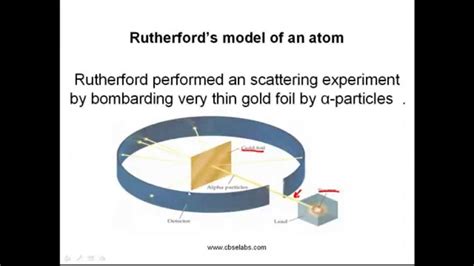 Rutherfords Model Of An Atom Ncert Class 9 Chemistry Notes Youtube