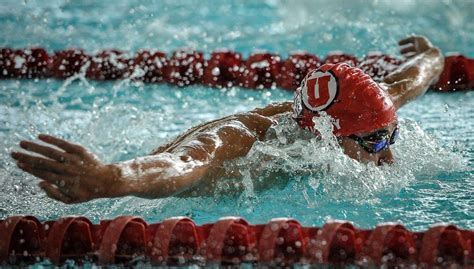 Maybe you would like to learn more about one of these? Swim and Dive: Utah Sweeps BYU at Ute Natatorium - The ...