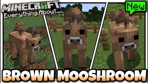 Minecrafts Rare Brown Mooshroom Cow All You Need To Know
