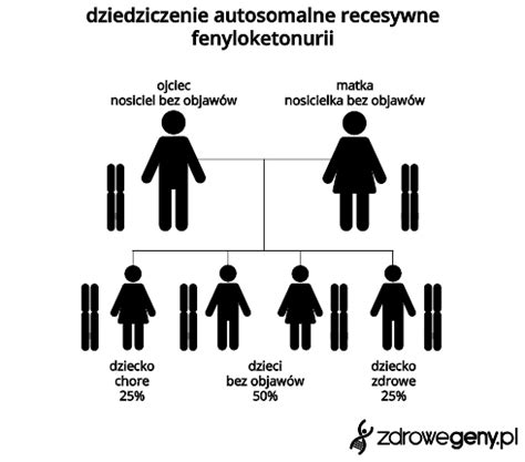 Fenyloketonuria Objawy Leczenie Dziedziczenie Zdrowegeny Pl