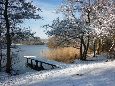Winter Landscape Snow · Free Photo On Pixabay