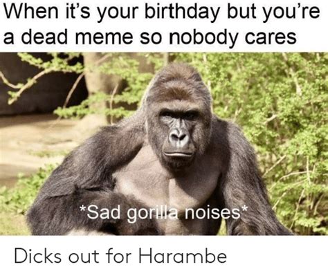 When Its Your Birthday But Youre A Dead Meme So Nobody Cares Sad
