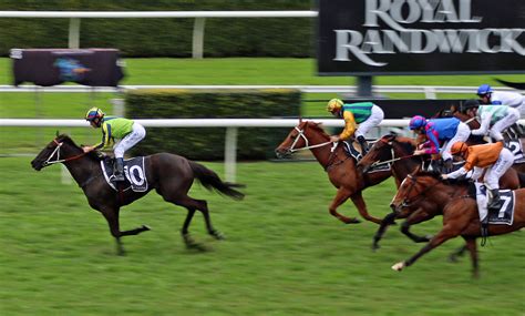 499 likes · 1 talking about this. Race Day Review - Chelmsford Stakes Day at Royal Randwick ...