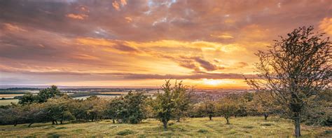 Discover The Beautiful Chiltern Hills Just 35 Miles From London