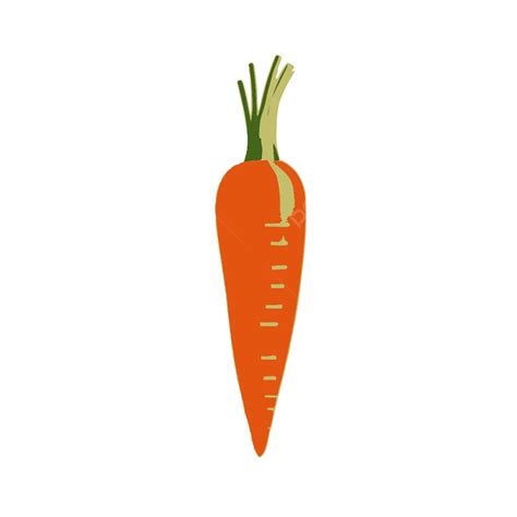 Carrot Transparent Image Vector Carrot Vegetable Carrot Logo Png And