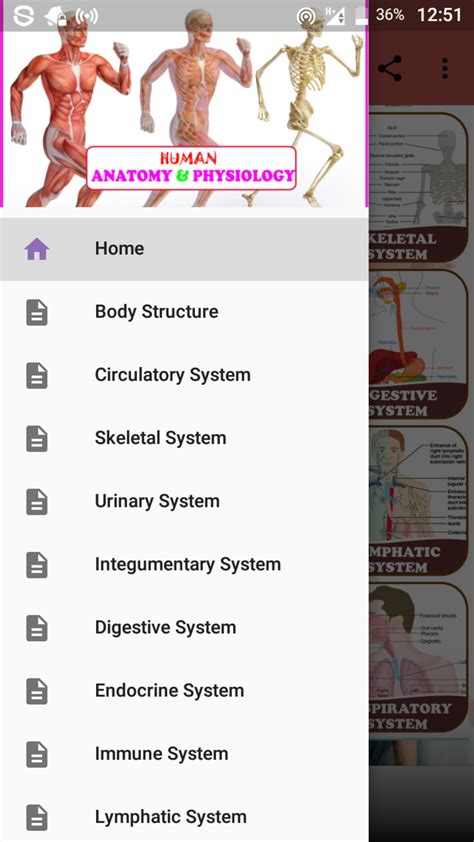 Human Anatomy And Physiology With Illustrations Apk Para Android