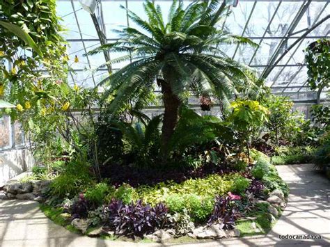 Park avenue proudly stated during this occasion that it had been on the top of any best seller list since the past 30 years. A Trip Guide to Allan Gardens Conservatory , Toronto ...