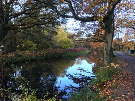 Brookwood Country Park Thames Basin Heaths