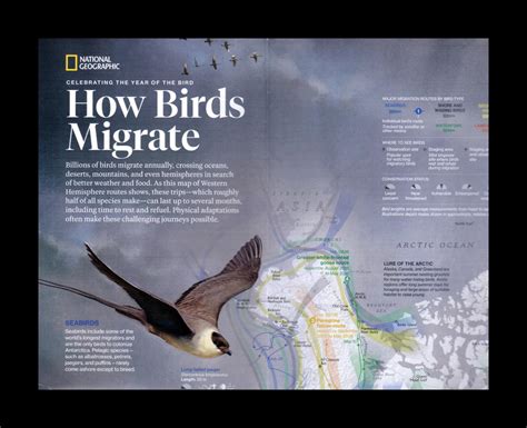 National Geographic Magazine March 2018 With Bird Migrations