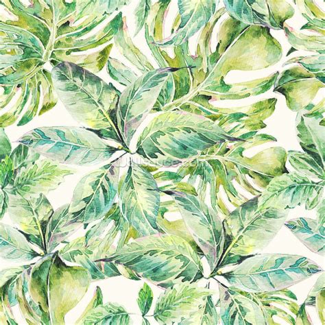 Exotic Summer Leaves Wallpaper Wallsauce Us
