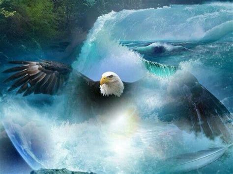 Pin By Lucille Kerner On Eagles Prophetic Painting Eagle Pictures