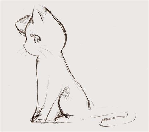 Anime Cat Cartoon Anime Cat Sketch Cat Drawing Drawings