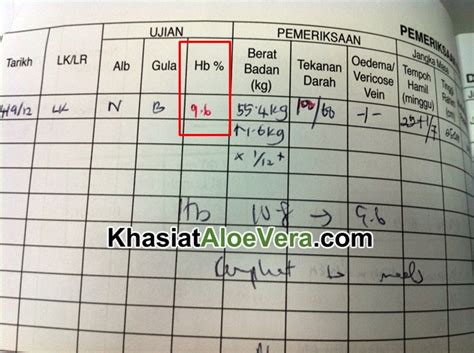 Hemoglobin merupakan komponen dalam sel darah merah yang berperan penting untuk mengikat oksigen dalam darah. Tips Penyakit & Rawatan | Penyakit Kurang Darah Merah ...