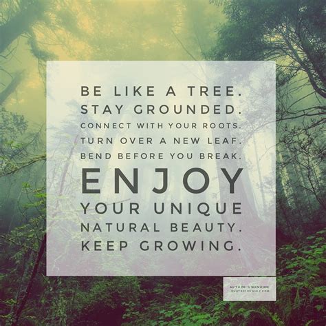 Be Like A Tree Stay Grounded Connect With Your Roots Author Unknown
