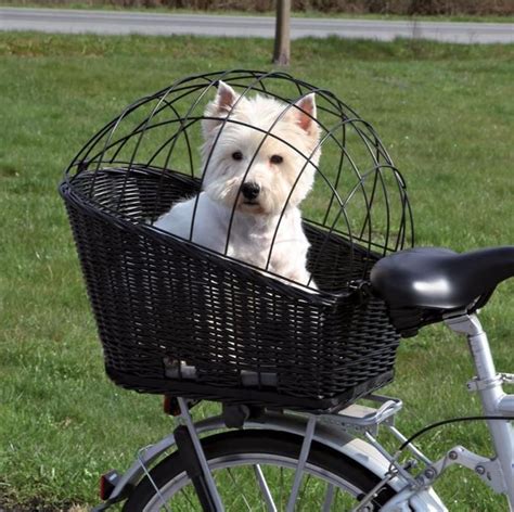 Basket For Dog For Bike