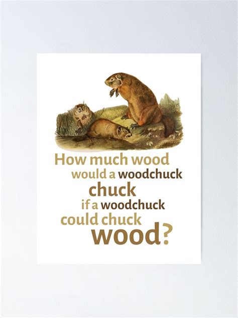 How Much Wood Would A Woodchuck Chuck Poster For Sale By Primal Frog