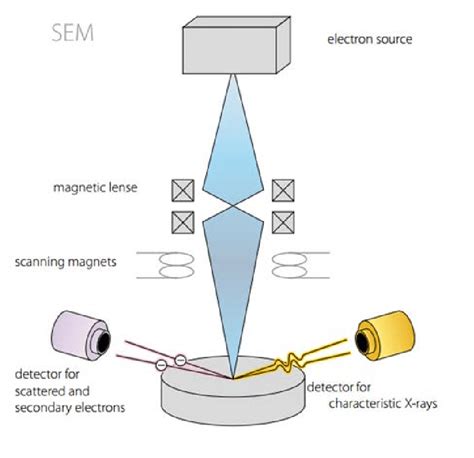 Scanning Electron Microscope With Energy Dispersive X Ray Spectrometer Sexiz Pix