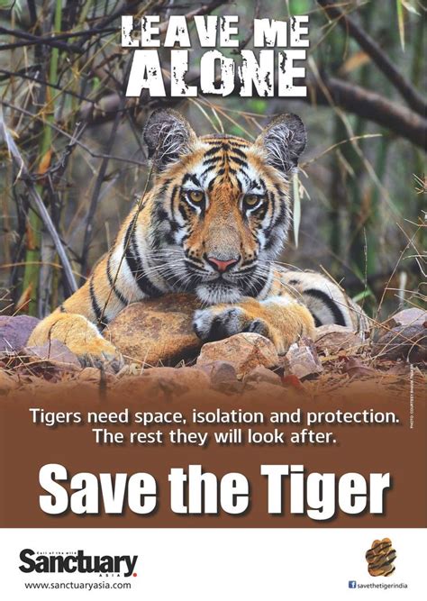 Help Protect And Save The Tiger Save The Tiger Tiger Poster Tiger