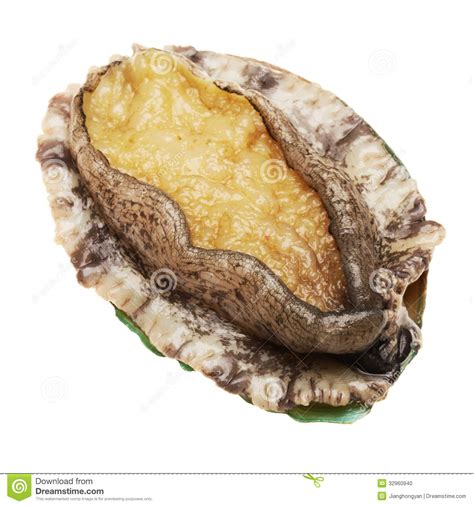 Abalone shells are found off the coast or north america, new zealand, australia and japan. Abalone stock photo. Image of shell, abalone, mollusc ...