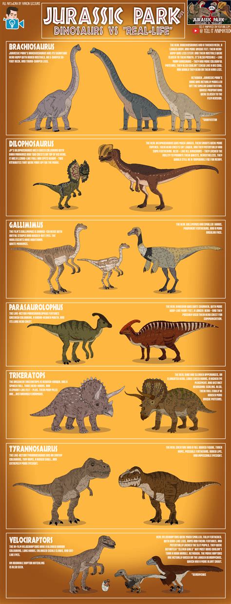 Jurassic Park 1993 Dinosaurs Vs Real Life Illustrated Infographic
