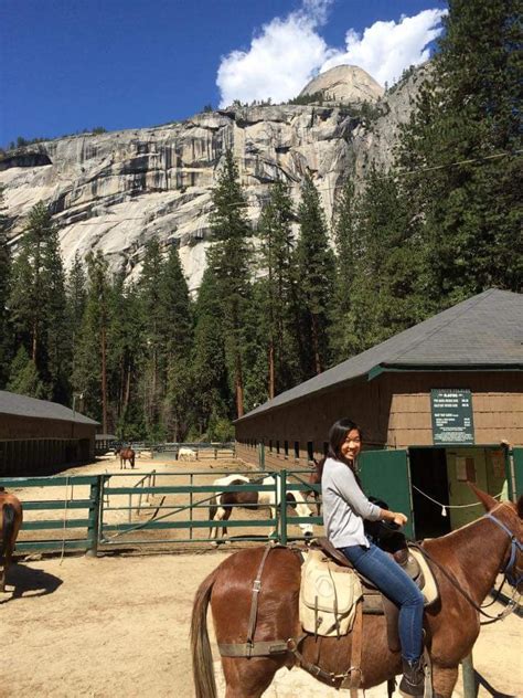 Yosemite Valley Stable Closed 10 Photos And 11 Reviews Horseback