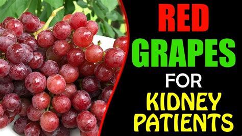 Red Grapes For Kidney Patients Benefits Of Red Grapes For Kidneys