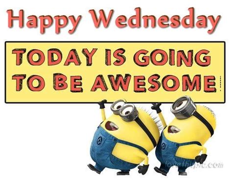 Happy Wednesday Today Is Going To Be Awesome Happy Sunday Quotes Good Morning Wednesday