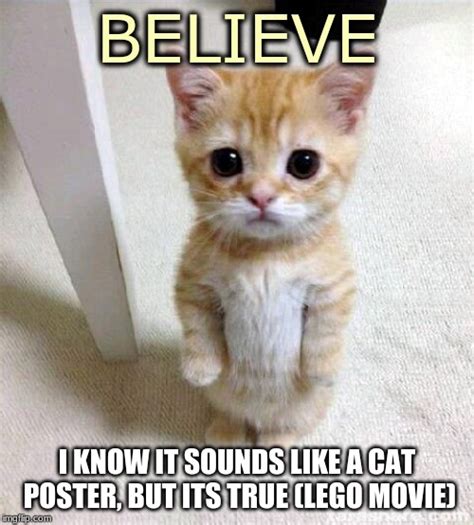 Believe In Yourself This Cat Does Imgflip