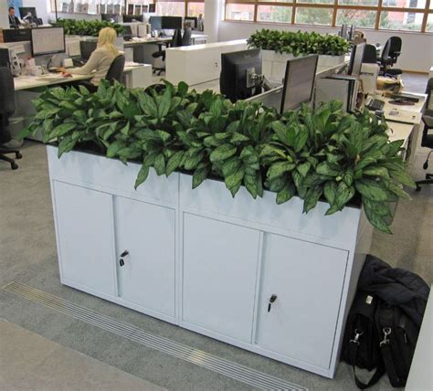 Cabinet Planters For Oxford Offices Office Landscapes