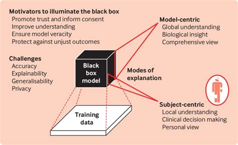 Habubu Prato Semplice Black Box Machine Learning Algorithms Superare