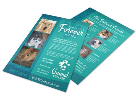 $20 for parakeets and small exotic birds. Animal Shelter & Pet Adoption Flyer Template | MyCreativeShop