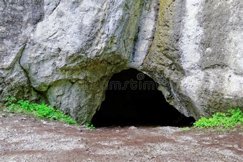 27232 Cave Entrance Stock Photos Free And Royalty Free Stock Photos