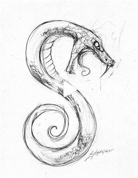 How To Draw A Snake Head Side View Snake Drawing