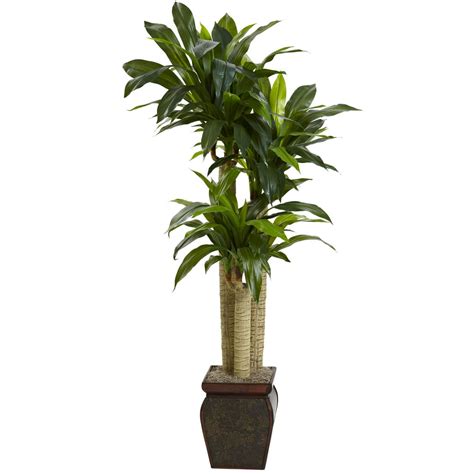 Nearly Natural 45 Ft Cornstalk Dracaena Silk Plant With Vase Real