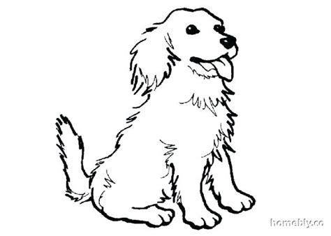 Cute ba puppy coloring pages 1000 images about kid39s. Springer Spaniel Coloring Pages at GetColorings.com | Free ...