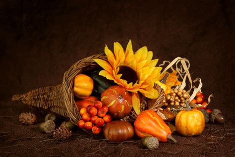 The Cornucopia An Iconic Symbol Of Thanksgiving Eastern Floral