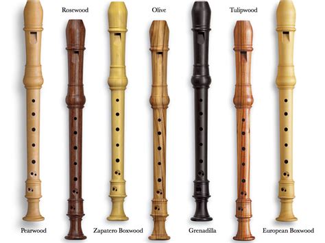 Intro To Recorder Online Course For Ages 8 9 By Jennifer Wentworth