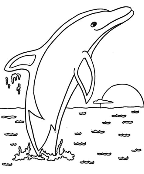 Lisa Frank Dolphin Jumbo Coloring Book Coloring Pages