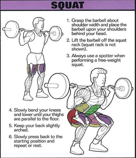 Correctness Of The Squats With The Barbell