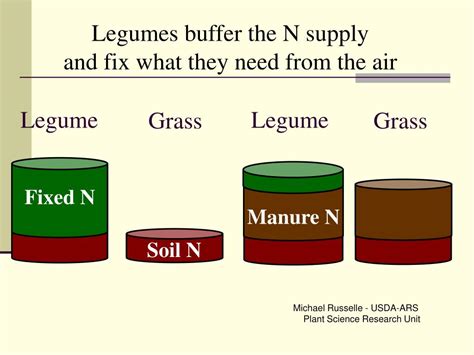 Ppt Lecture 9b Nitrogen Cycle N2 Gas Into No3 Powerpoint