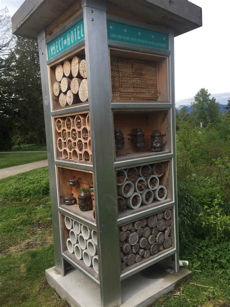 How To Build A Bug Hotel With Kids