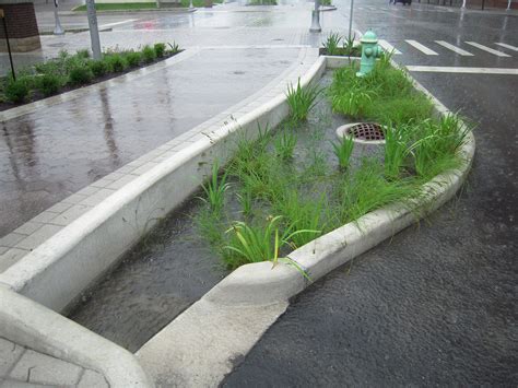 Stormwater Infiltration Planter During Rain Event Indianapolis