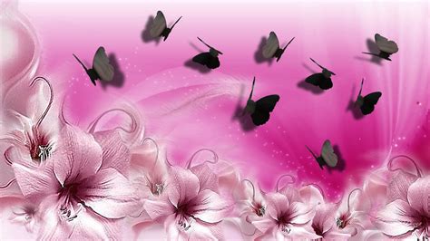 Pink And Purple Butterfly Wallpaper 65 Images