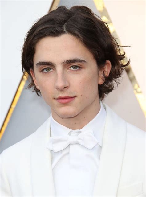 Timothée Chalamet Got A Haircut And I Need A Moment To Process It