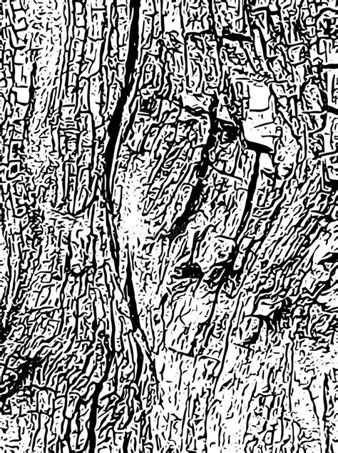 Graphic Illustration In Black And White Pencil Drawing Of Bark