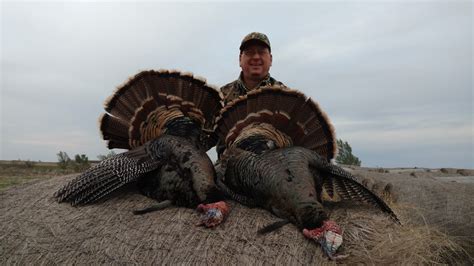 Texas 3 Day Rio Grande Turkey Hunt For 1 Hunter Includes 2 Turkeys