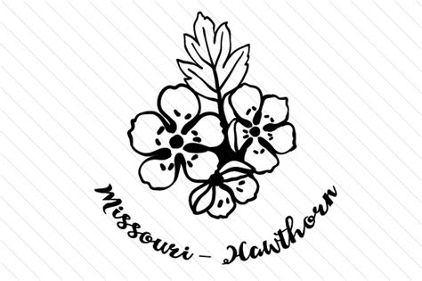 ✓ free for commercial use ✓ high quality images. State Flower: Missouri hawthorn SVG Cut file by Creative ...