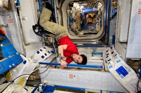 La Vita Quotidiana Sulla ISS Tutti I Video Di Chris Hadfield Focus It