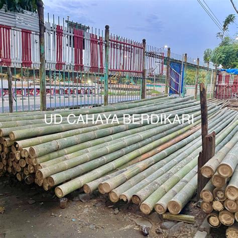 Jual Bambu Steger Murah 7 Cm Free Ongkir Jakarta Utara Ud Cahaya