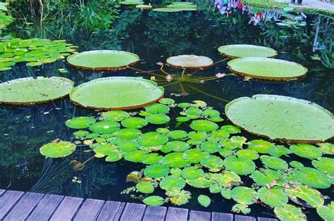 Page 2 of 5, 74 part time mba programs in malaysia. Tropical Spice Garden, Penang, Malaysia | Gokayu, Your ...